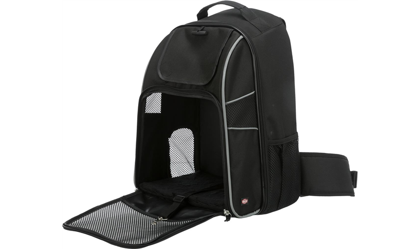 Rucksack William 33 × 43 × 23 cm, schwarz