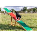 Fun Agility Wippe 300 × 54 × 34 cm