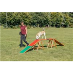 Fun Agility Wippe 300 × 54 × 34 cm