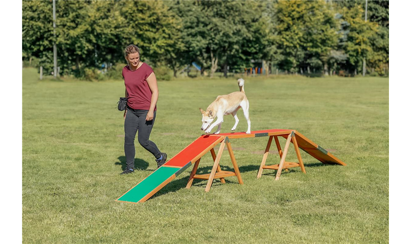 Fun Agility Wippe 300 × 54 × 34 cm