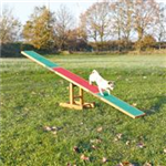 Fun Agility Wippe 300 × 54 × 34 cm