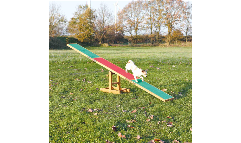 Fun Agility Wippe 300 × 54 × 34 cm