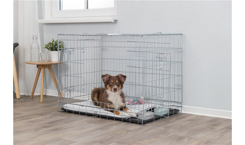 Hundebox Home verzinkt S: 64 × 54 × 48 cm