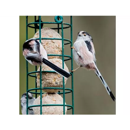 Futtersäule mit Gitter, schwarz