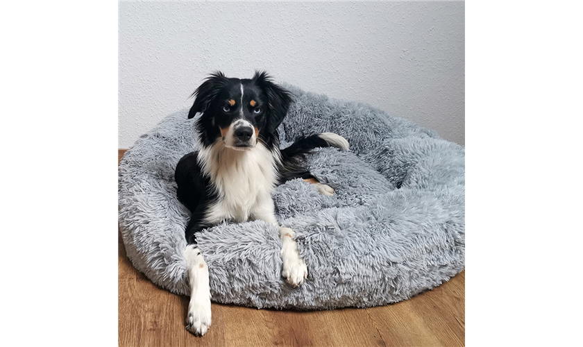 Kuschelbett Donut "ESLA" grau