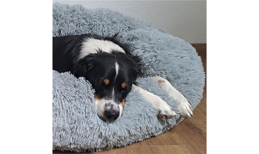 Kuschelbett Donut "ESLA" grau