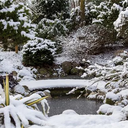 Eisfreihalter – nützliche Tools für den Teich im Winter