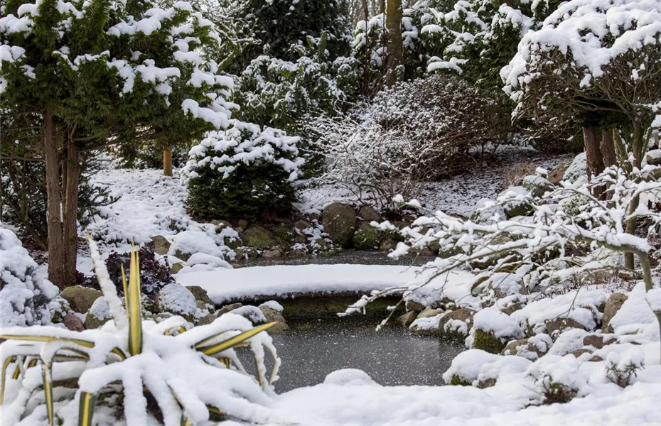 Eisfreihalter – nützliche Tools für den Teich im Winter