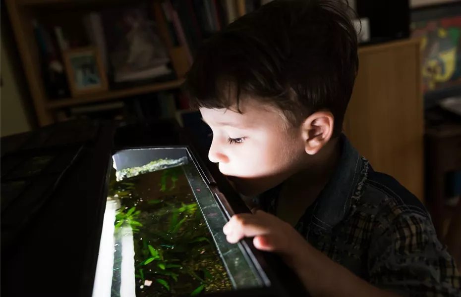 Das Kinder-Aquarium: Tipps für Eltern