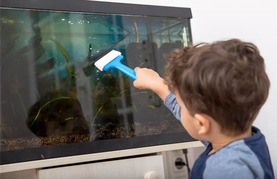 Das Kinder-Aquarium: Tipps für Eltern