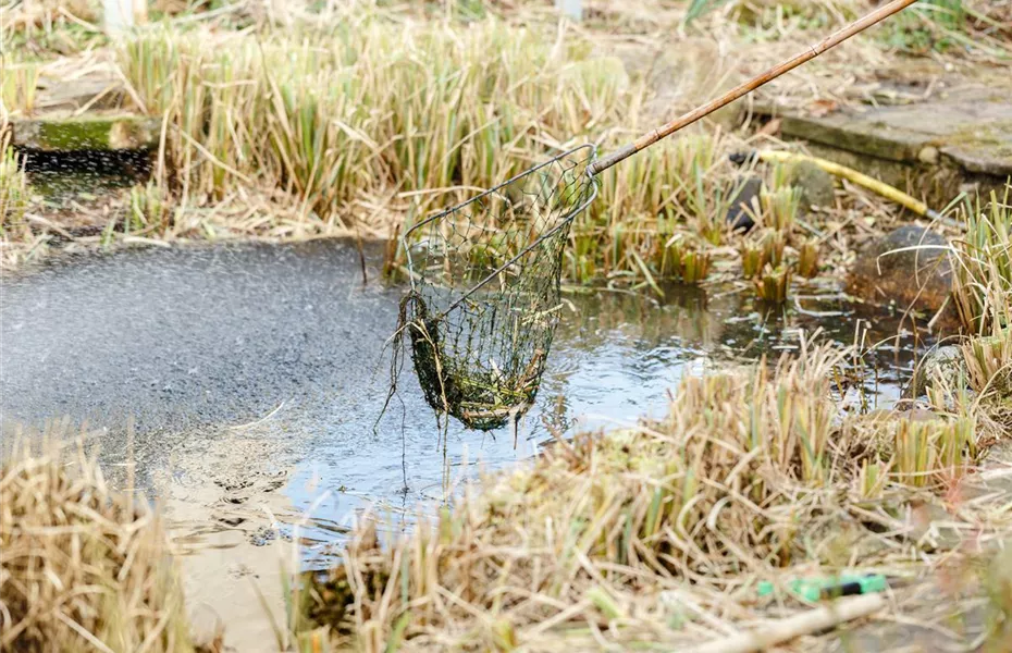 Den Gartenteich winterfest machen – So geht’s!