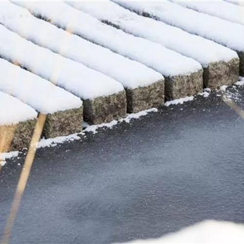 Teichbeheizung im Winter: Fische sind Warmduscher