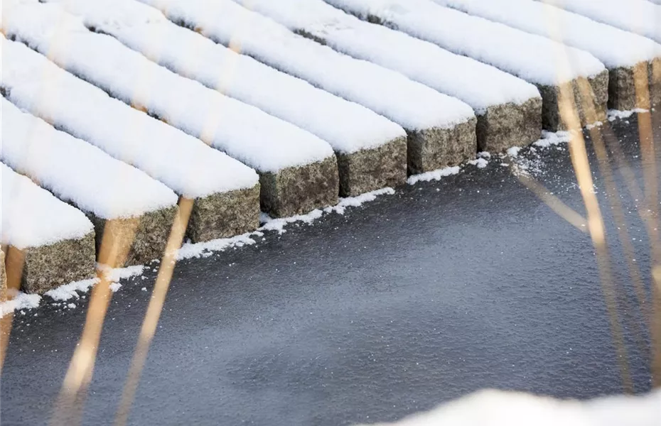 Teichbeheizung im Winter: Fische sind Warmduscher