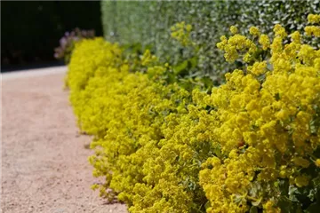 Blackbox-Gardening – die kreative Idee mit den großen Überraschungseffekten