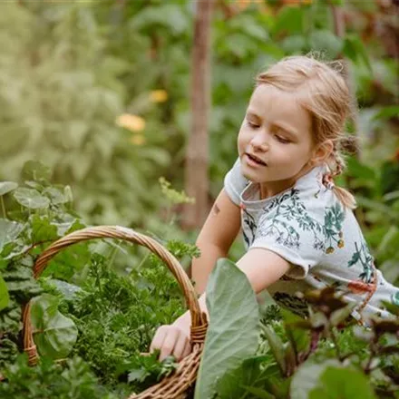 Jetzt kann geerntet werden! Kinder spielerisch einbeziehen