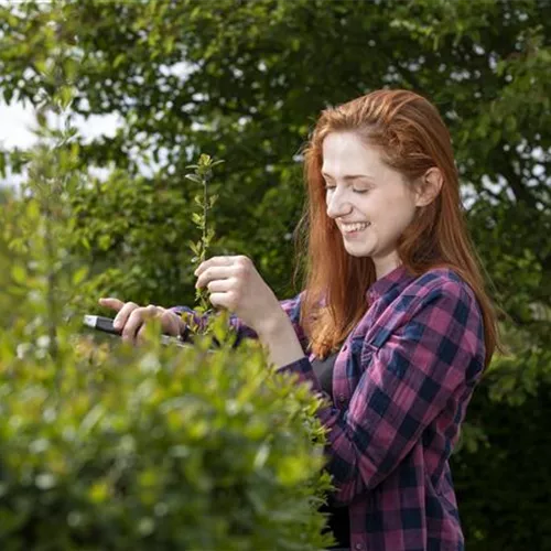 Diese Arbeiten sind jetzt im Garten noch nötig