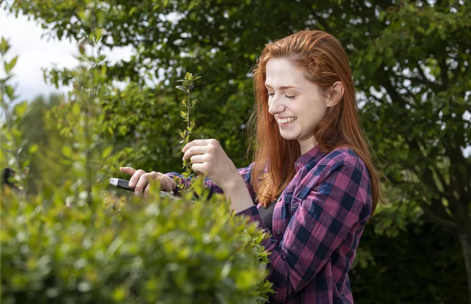 Diese Arbeiten sind jetzt im Garten noch nötig