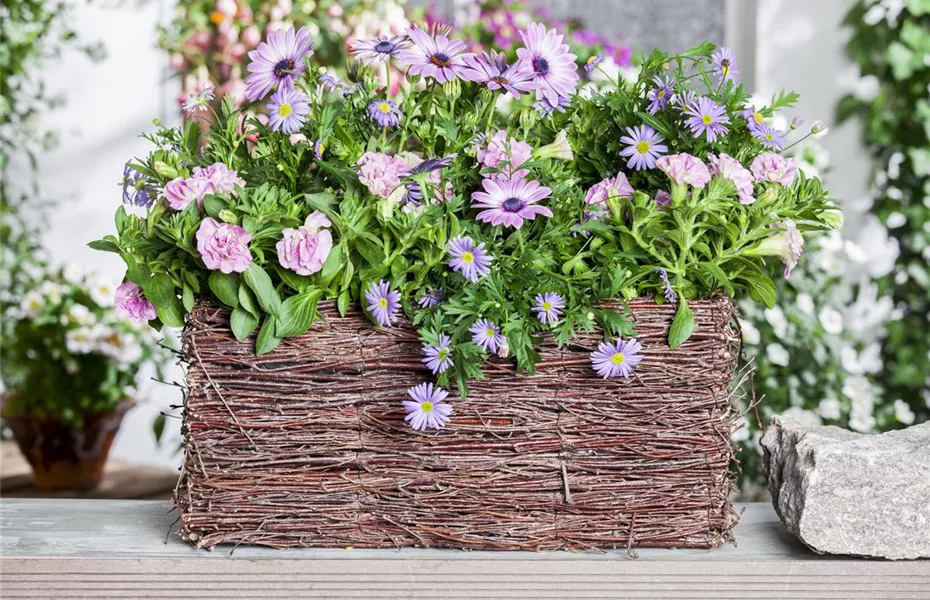 Frühling, Sommer, Herbst, Winter: der Balkon ist immer ein schöner Anblick