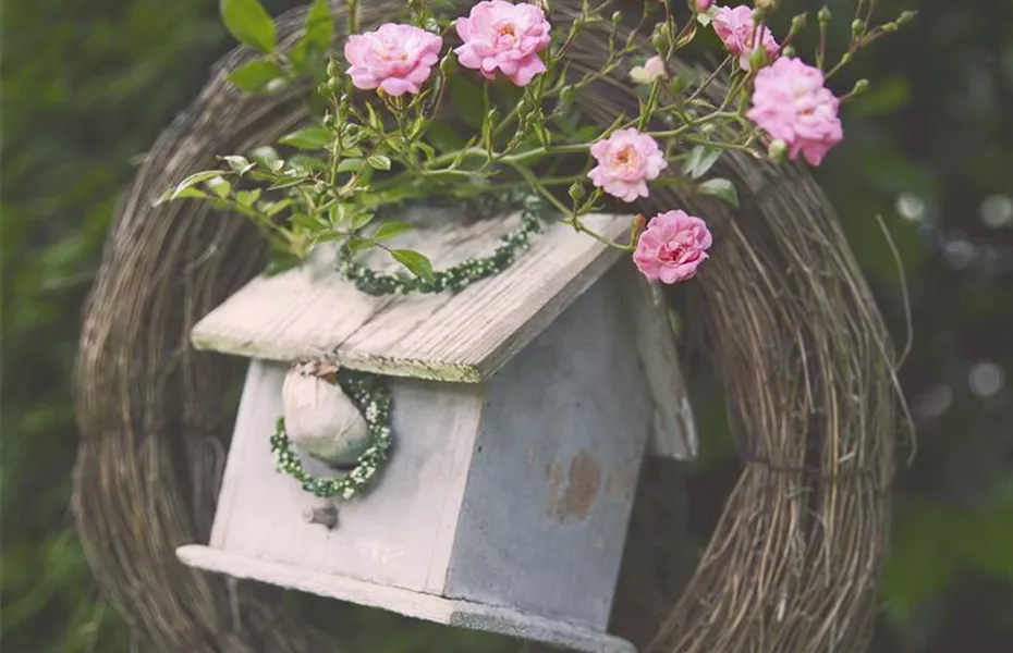 Diese Arbeiten sind jetzt im Garten noch nötig